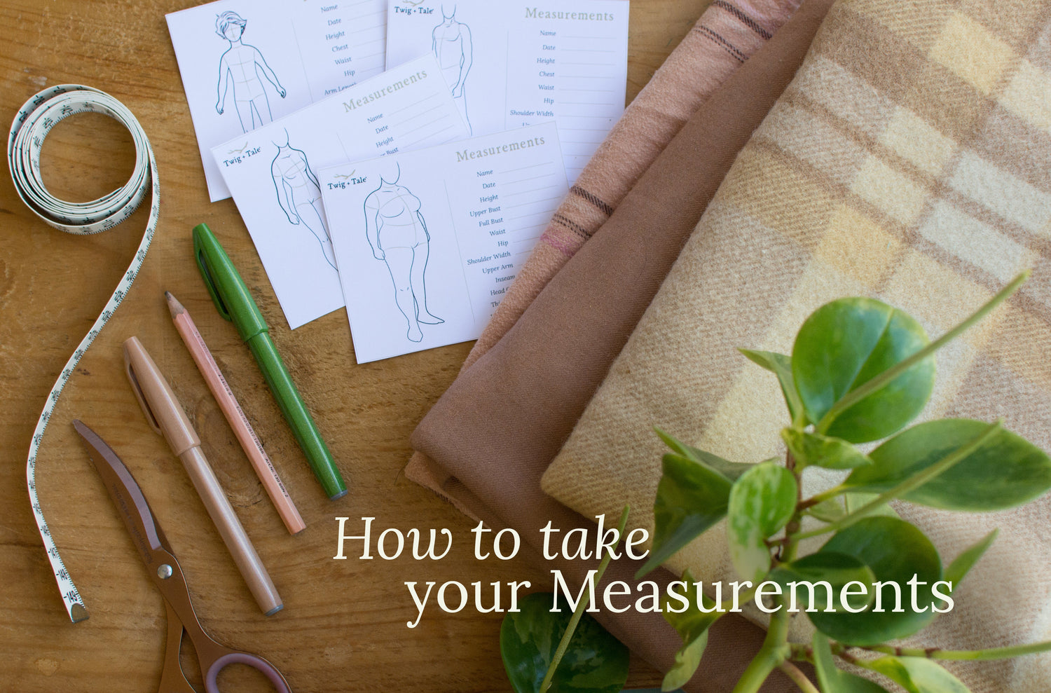 How to Take Your Measurements